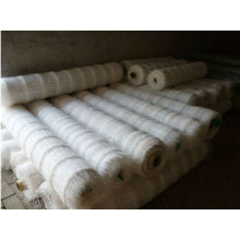 Plastic Support wire mesh/ Bean & Pea wire mesh (hebei factory)